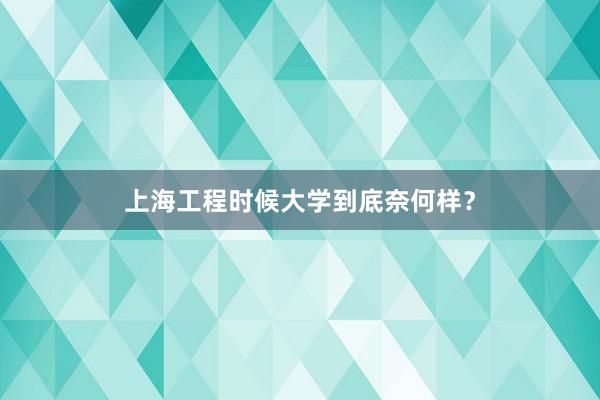 上海工程时候大学到底奈何样？